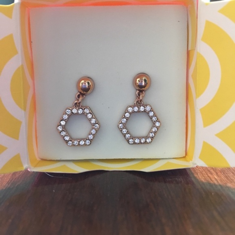 RETIRED. NEW IN BOX. Origami Owl dangle earrings.